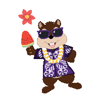 Spring Break Mascot Sticker by Community Dental Partners