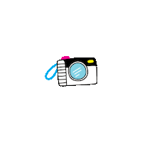 Pollicedipanda photo camera picture foto Sticker