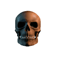 Caveira Sticker by welisonlapatactical