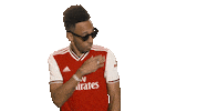 Premier League Football Sticker by Arsenal