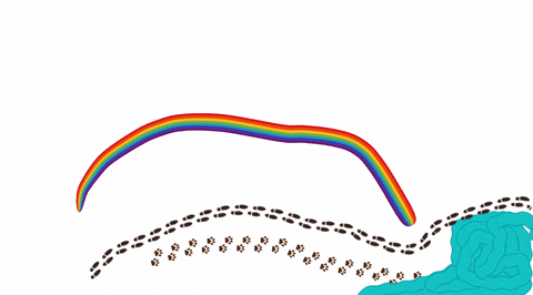 pekala100 giphyupload GIF