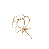 Design Flower Sticker by Cathleen Cafasso