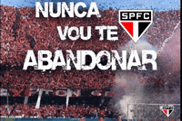Sao Paulo GIF