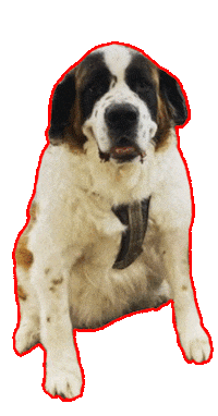 triadcleanhome puppy dogs north carolina cleaning Sticker