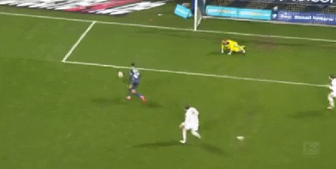 phyrre giphyupload GIF