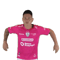 Del Valle Soccer Sticker by INDEPENDIENTE DEL VALLE