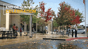 hondaendofsummer GIF by Central Coast Honda Dealers