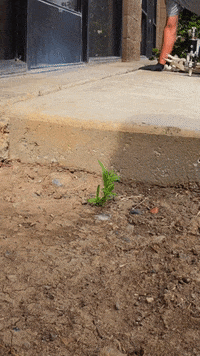 BayAreaUnderpinning foundation repair bay area underpinning GIF