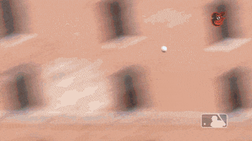 major league baseball sport GIF by MLB