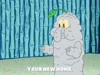season 4 GIF by SpongeBob SquarePants