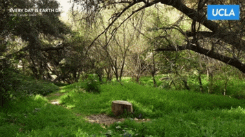 Earth Day GIF by UCLA