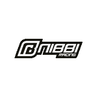 Pe Polini Sticker by Nibbi Racing Deutschland