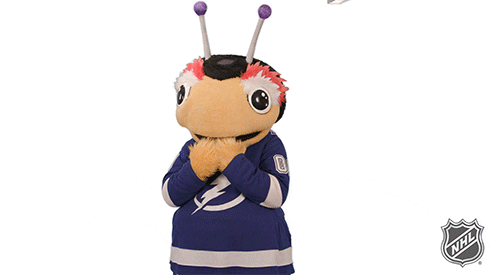 Ice Hockey Reaction GIF by NHL
