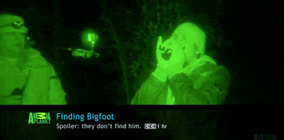 what conans watching finding bigfoot GIF by Team Coco