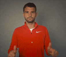 grigor dimitrov yes GIF by Miami Open