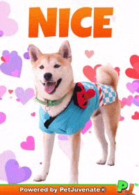 Awesome Love It GIF by PetJuvenate - PJ
