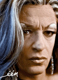 tom waes Ã©Ã©n GIF by vrt