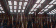 star trek GIF by CBS