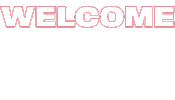 ThePolarBoys music welcome band miami Sticker