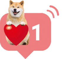 Shiba Maru Sticker by marutaro