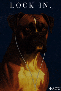 Lock In Dog GIF by George Longovitis