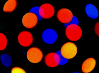 Burst Generator GIF by The Chemical Brothers