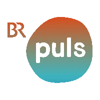 summer festival Sticker by PULS