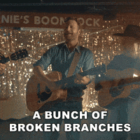 Music Video Bar GIF by Dierks Bentley