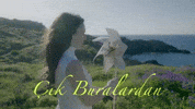 Nil GIF by hubcollage