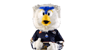 Hockey Ice Sticker by Les Ducs d'Angers