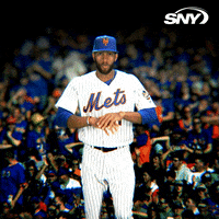 new york mets baseball GIF by SNY