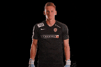 FCZBROJOVKABRNO Brno zbrojovka zbrojovkabrno fczb GIF