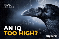 Real Science GIF