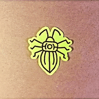 Gaomico collection tribal insects gaomico GIF