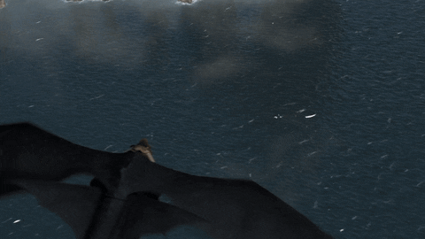 fun flying GIF by How To Train Your Dragon