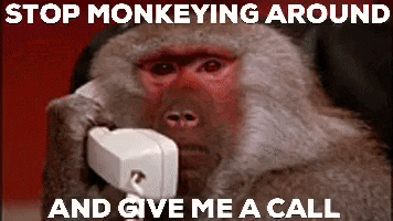 twelveriversrealty callme twelveriversrealty monkeycall GIF
