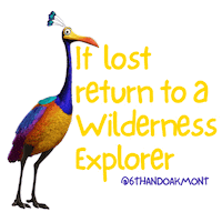 Disney Pixar Sticker by 6th & Oakmont