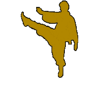 Workout Fighting Sticker by vank