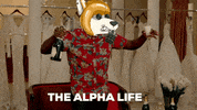 Dance Money GIF by High Street Wolf Society