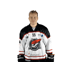 Společně Sticker by Piráti Chomutov