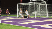 Lorasathletics Duhawkathletics GIF by Loras College