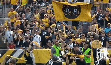 Regular Season Football GIF by NFL