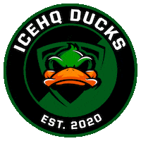 Ice Hockey Melbourne Sticker by icehq