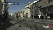 Los Angeles GIF