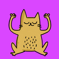 Cat Sport GIF by Kochstrasse™ .agency