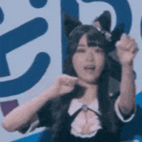 Girl Group Cat GIF