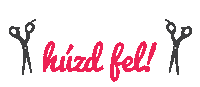fodraszinfo hair magyar hairstyle hairdresser Sticker