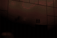 GIF by ZI Italy