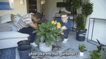tyleroakley flower youtube house plant GIF
