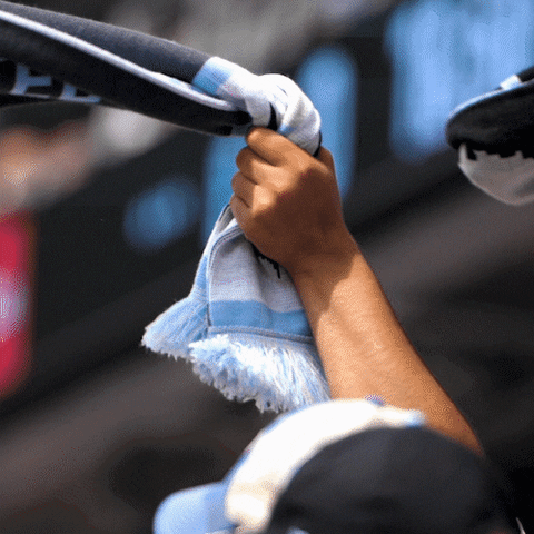 Minnesota United Soccer GIF by MNUFC